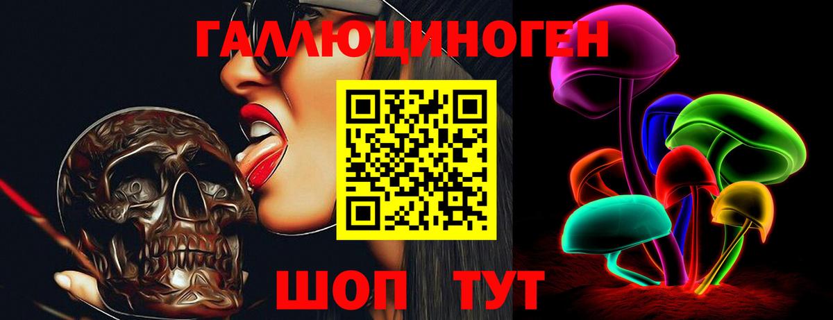 Галлюциногенные грибы GOLDEN TEACHER  Галлюциногенные грибы MAGIC MUSHROOMS  Вход с VPN  Темрюк 